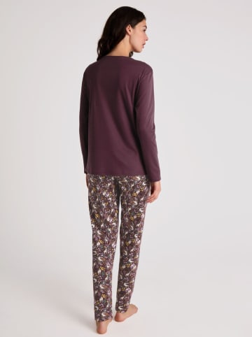 Calida Pyjama in Bordeaux
