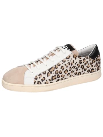 MELVIN & HAMILTON Leder-Sneakers "Jaxson 5" in Beige/ Weiß/ Schwarz