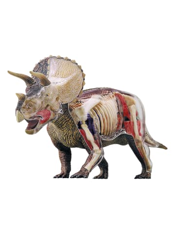 MGM Paleontologieset - vanaf 8 jaar