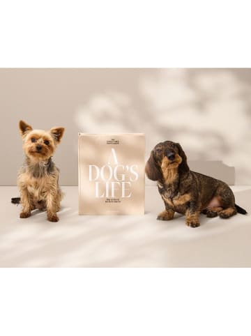 Printworks Hondenfotoalbum "A Dog's Life'' beige