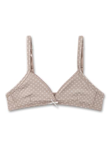 Sanetta Biustonosz w kolorze szarobrązowym