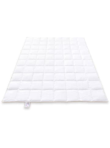 Frau Holle Daunen-Steppdecke "Goldstargans - Sommer" in Weiß