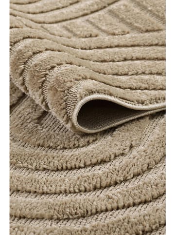 Conceptum Hypnose Dywan "691B" w kolorze jasnobrązowym