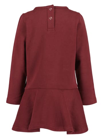 Blue Seven Sukienka dresowa w kolorze czerwonym