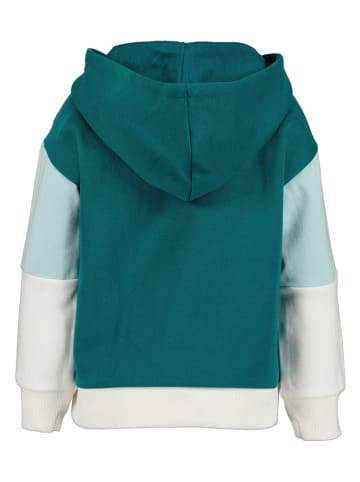 Blue Seven Hoodie in Weiß/ Blau