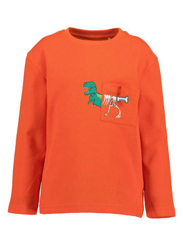 Blue Seven Longsleeve oranje