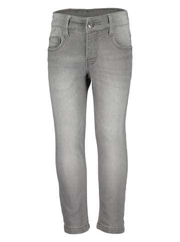 Blue Seven Jeans in Grau