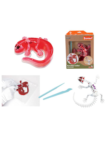 Simba Experimentierset ''Dissect-It - Salamander'' - ab 6 Jahren