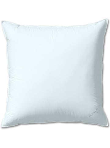 Sanders-Kauffmann Donskamerkussen "Labrador" wit - (L)80 x (B)80 cm