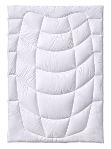 Sanders-Kauffmann Zomer-kamelenhaardekbed wit - (L)220 x (B)155 cm