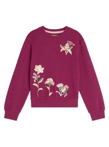 Scotch & Soda Sweatshirt in Lila