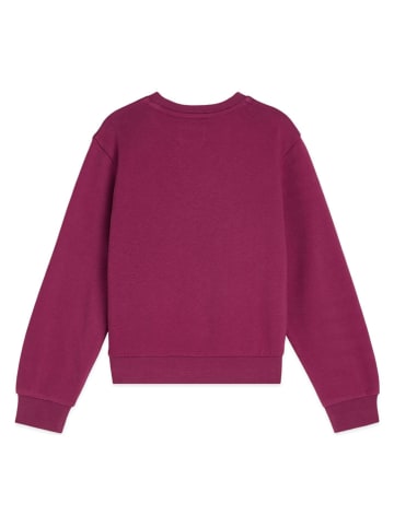 Scotch & Soda Bluza w kolorze fioletowym