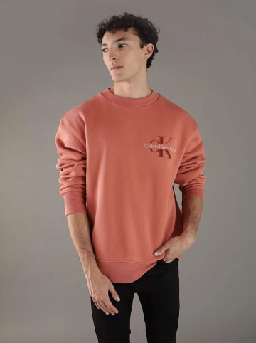 Calvin Klein Sweatshirt in Koralle