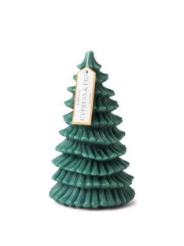 Paddywax Świeca zapachowa "Cypress & Fir" - 730 g