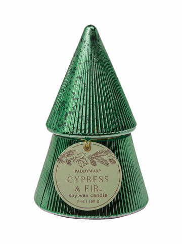 Paddywax Duftkerze "Cypress & Fir" in Grün - 198 g