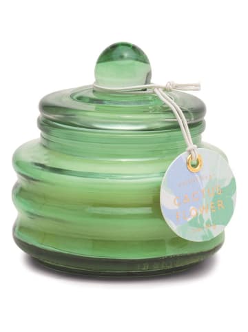 Paddywax Świeca zapachowa "Beam - Cactus Flower" - 85 g