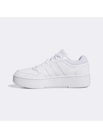 adidas Sneakers "Hoops 3.0 Bold" wit