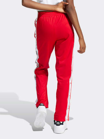 adidas Sweatbroek rood