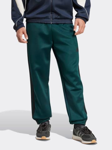 adidas Sweathose in Grün