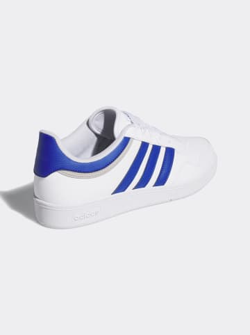 adidas Sneakers "Hoops 4.0" in Weiß/ Dunkelblau