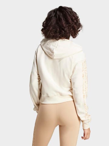 adidas Sweatjacke in Creme