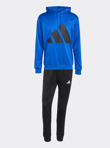 adidas 2tlg. Set:Trainingsanzug in Blau