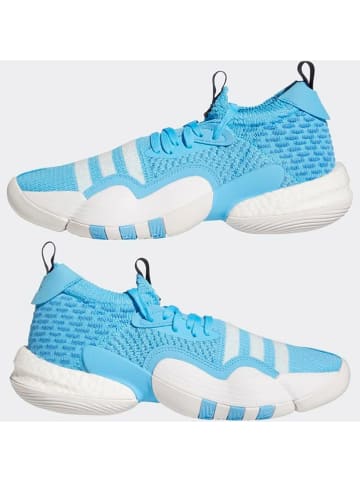 adidas Buty "Trae Young 2" w kolorze błękitnym do koszykówki