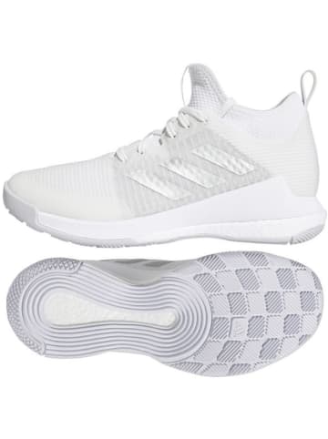 adidas Buty halowe "Crazyflight" w kolorze białym