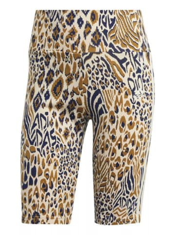 adidas Fietsshorts meerkleurig