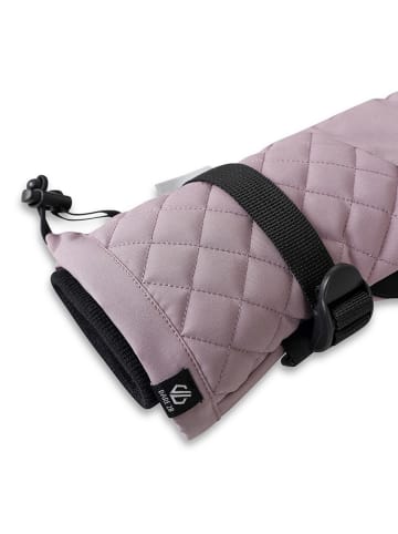 Dare 2b Funktionsfingerhandschuhe "Summit" in Schwarz/ Lila