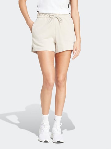 adidas Shorts in Creme