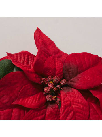 Boltze Wiszący wianek w kolorze czerwonym - Ø 50 cm