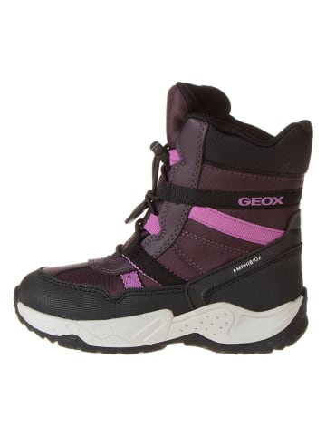 Geox Boots "Sentiero" in Aubergine/ Schwarz