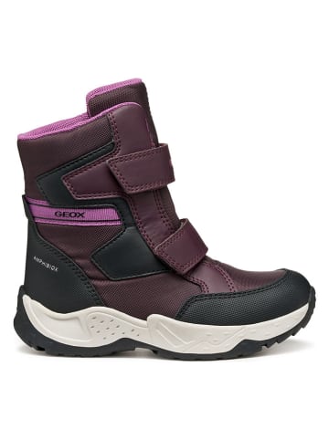 Geox Winterboots "Sentiero" in Lila