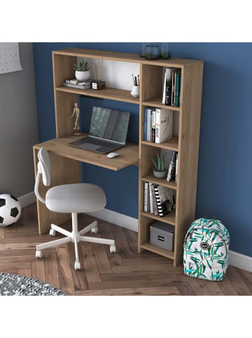 Scandinavia Concept Schreibtisch in Eiche - (B)113 x (H)142 x (T)40 cm