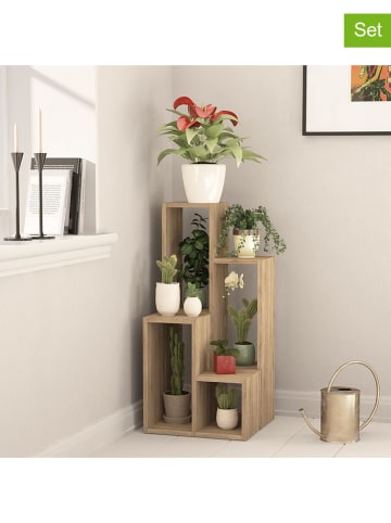 Scandinavia Concept 2er-Set: Standregale "Sule" in Eiche