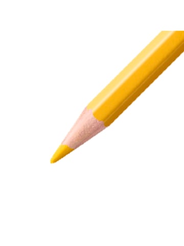 STABILO Aquarell-Buntstifte "STABILOaquacolor - ARTY" - 12 Stück