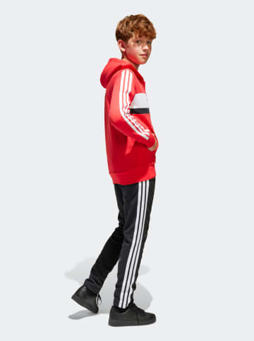 adidas Strój sportowy w kolorze czerwono-czarnym