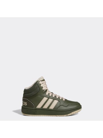 adidas Sneakers "HOOPS MID 3.0" kaki