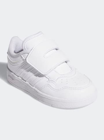 adidas Sneakers "HOOPS 4.0 CF I" in Weiß