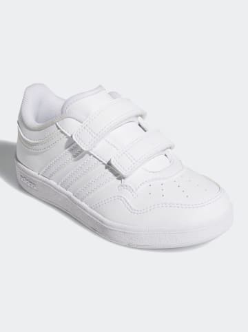 adidas Sneakersy "HOOPS 4.0 CF C" w kolorze białym