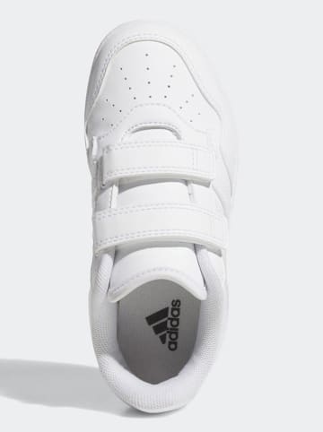 adidas Sneakersy "HOOPS 4.0 CF C" w kolorze białym