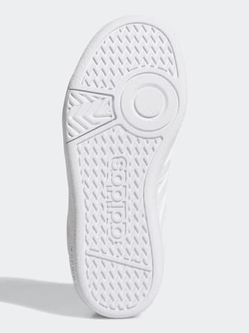 adidas Sneakersy "HOOPS 4.0 CF C" w kolorze białym