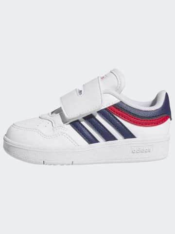 adidas Sneakers "HOOPS 4.0 CF I" wit/donkerblauw