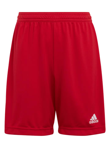 adidas Trainingsshort "ENT22 SHO Y" rood