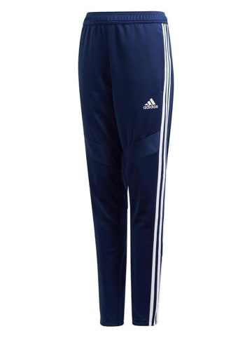 adidas Spodnie sportowe "TIRO19 TR PNTY" w kolorze granatowym