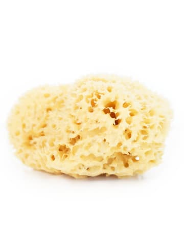 Lullalove Naturschwamm "Honeycomb" in Gelb