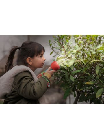 moses. Latarka w kolorze czerwonym - 3+