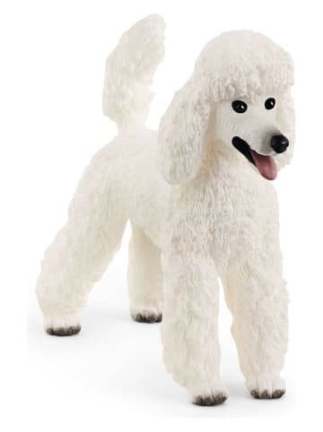 Schleich Figurka "Pudel" do zabawy - 3+