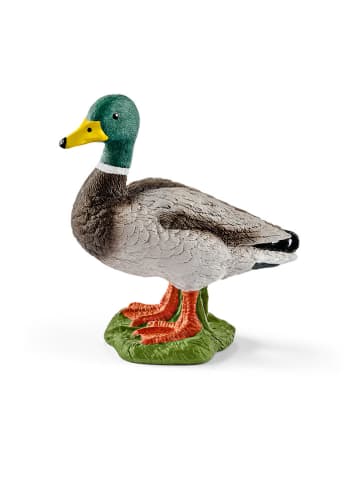 Schleich Spielfigur "Drake" in Bunt - ab 3 Jahren